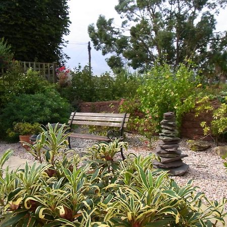 Beecroft Lodge Paignton Εξωτερικό φωτογραφία